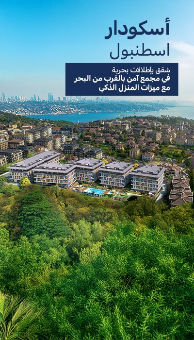 الصفحة الرئيسية