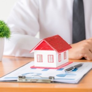 Assurance Habitation