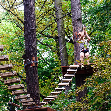 Adventure in the Forest