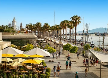 Attractive Center of Social Living for Expats Attractive Center of Social Living for Expats
