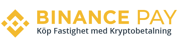 Binance Pay Logo