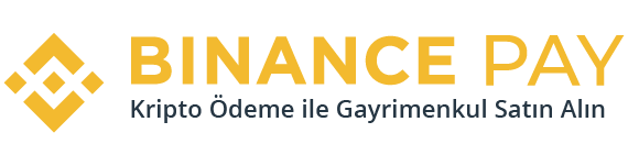 Binance Pay Logo Binance Pay Logo