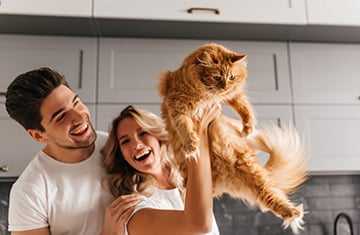 Bringing Pets Bringing Pets
