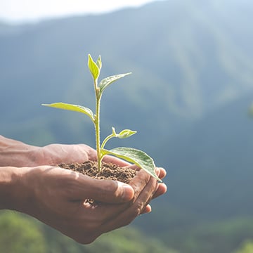 COP31 may support Antalya's sustainable development