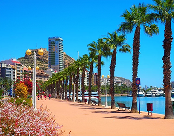 Economy and Demography of Alicante Economy and Demography of Alicante