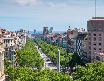 What to Do in Barcelona What to Do in Barcelona