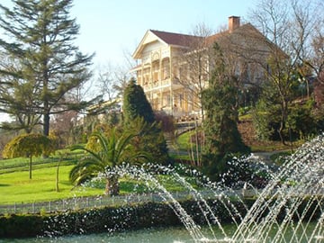 与家人一起探索伊斯坦布尔