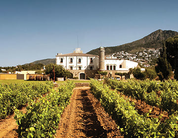 Landsbygdsfastigheter i Spanien: Vinodlingar, olivlundar och lantlig charm Landsbygdsfastigheter i Spanien: Vinodlingar, olivlundar och lantlig charm