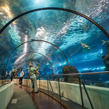 L'Aquàrium de Barcelona
