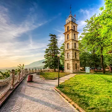 Bursa Bursa