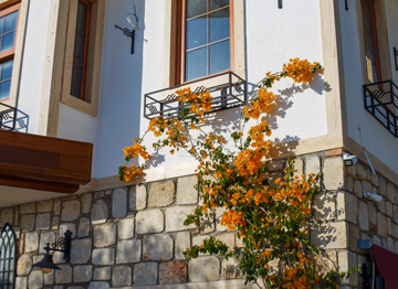 antalya-real-estate antalya-real-estate