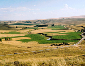 field, grass, for-sell