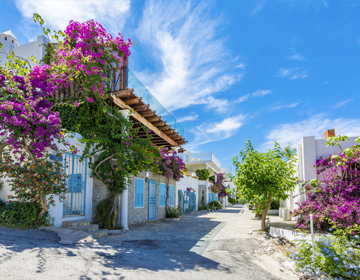 bodrum-bougainvillea-homes