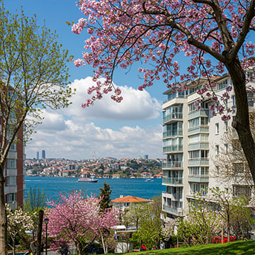 Der Aufstieg der Fernverwaltung von Immobilien in der Türkei Der Aufstieg der Fernverwaltung von Immobilien in der Türkei