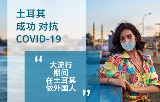 Turkey's Successful Fight Against COVID-19