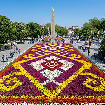 Laleler Nisan ayında İstanbul’daki birçok parkta açar