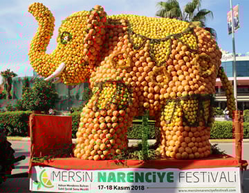 Mersin narenciye festivali