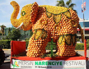 traditionell narenciye-festival i Mersin