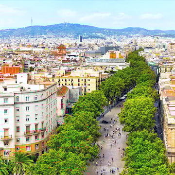 How Does the Application Process Work?