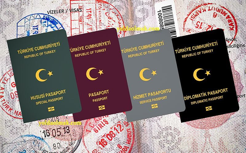 Типы турецких паспортов
