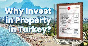 Why Invest in Property Why Invest in Property